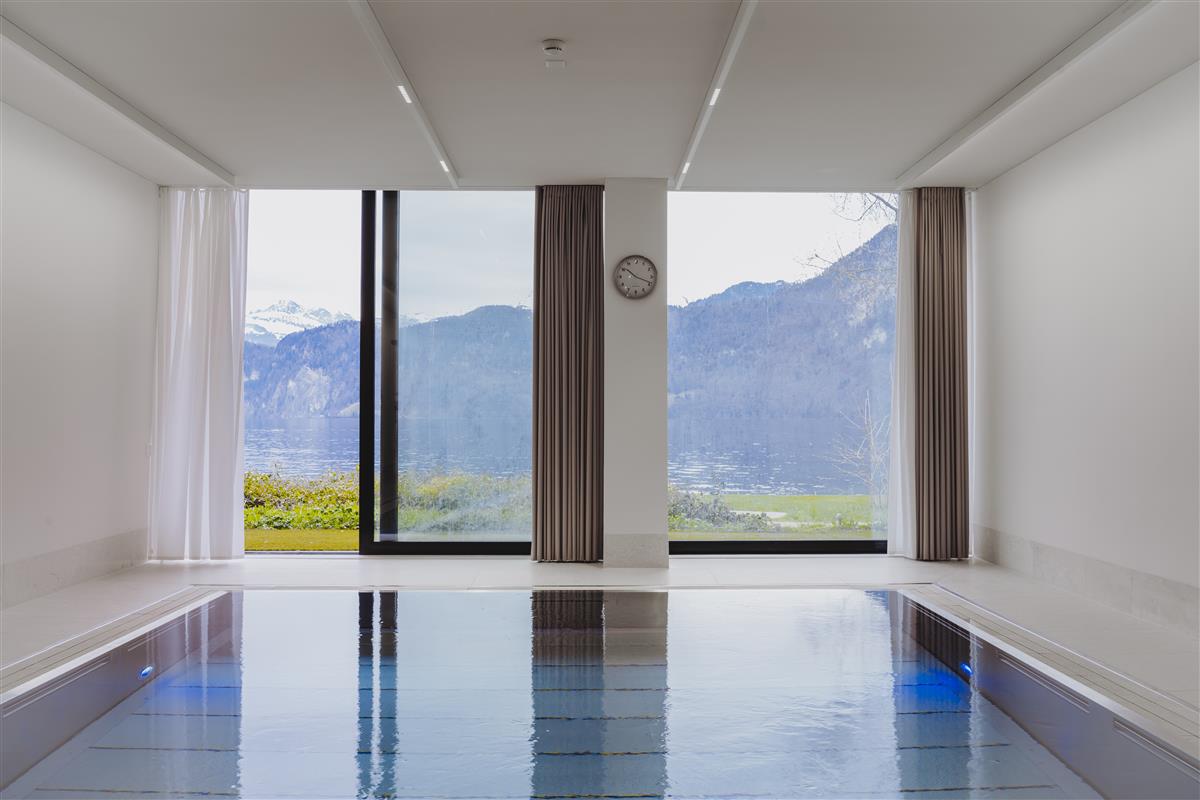 Pool - cereneo Schweiz AG