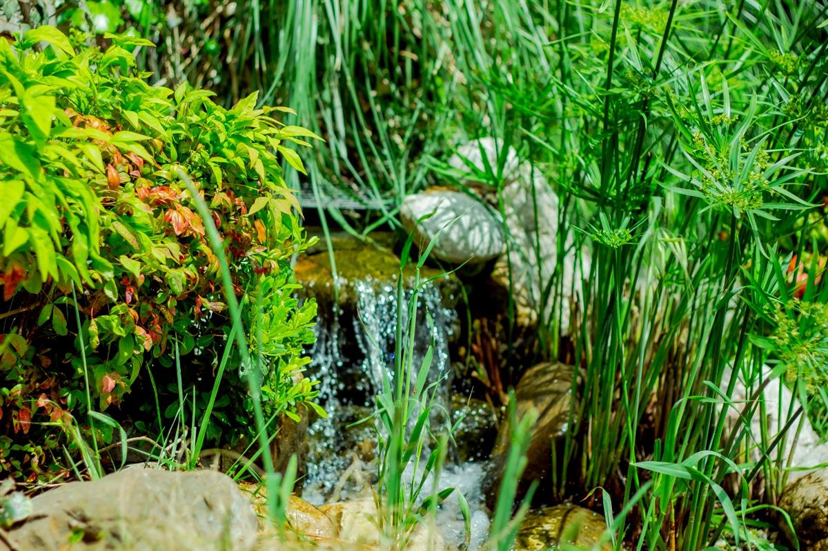 Garden - MOODIST HOSPITAL