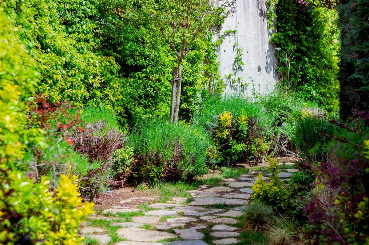 Garden - MOODIST HOSPITAL