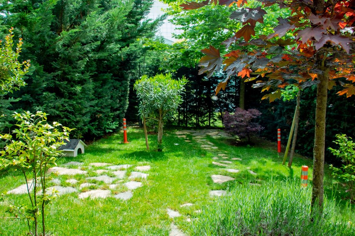 Garden - MOODIST HOSPITAL