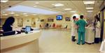 Reception - Sheba Medical Center