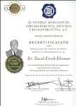 Certification - Mexican Society of Plastic Surgeons - Dr. David Kirsch