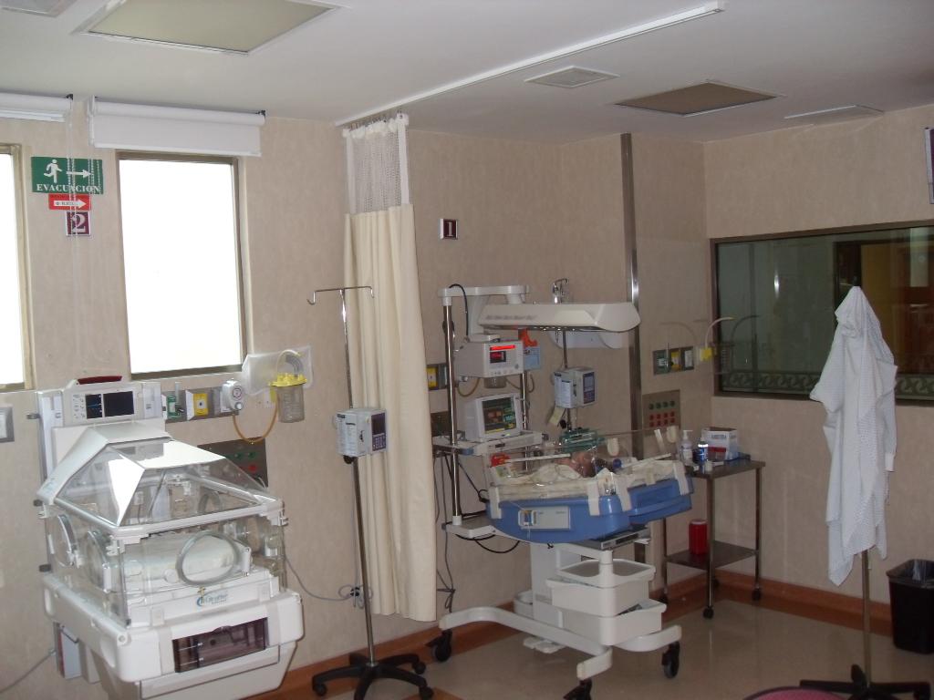 Neonatal Intensive Therapy - Hospital Country 2000