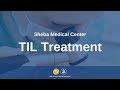 Sheba Medical Center | Tumor Infiltrating Immunotherapy